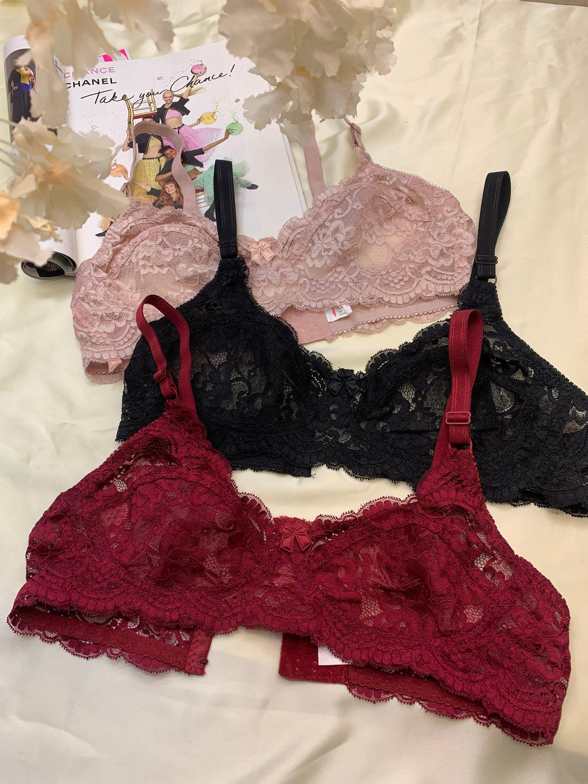 Pack of 2 Daily Wear Bra (202)